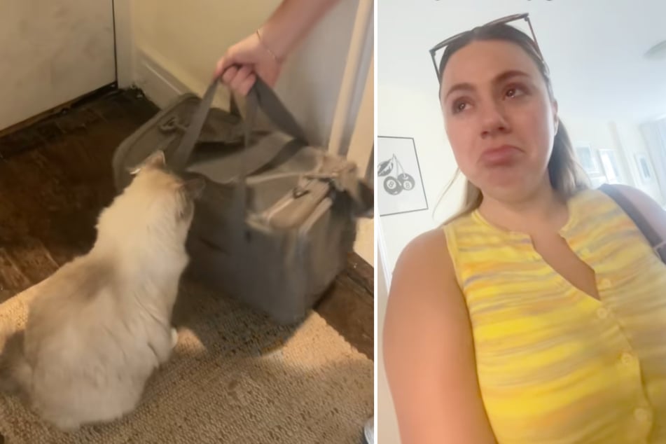Besitzerin Alissa ist zu Tränen gerührt, als sie bemerkt, dass sich Martini nicht trennen möchte.