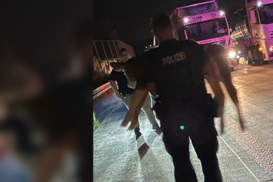 Ein Polizist trägt ein verirrtes Kälbchen von der A4 bei Wüstenbrand: Sechs weitere Jungtiere sind vermutlich tot.
