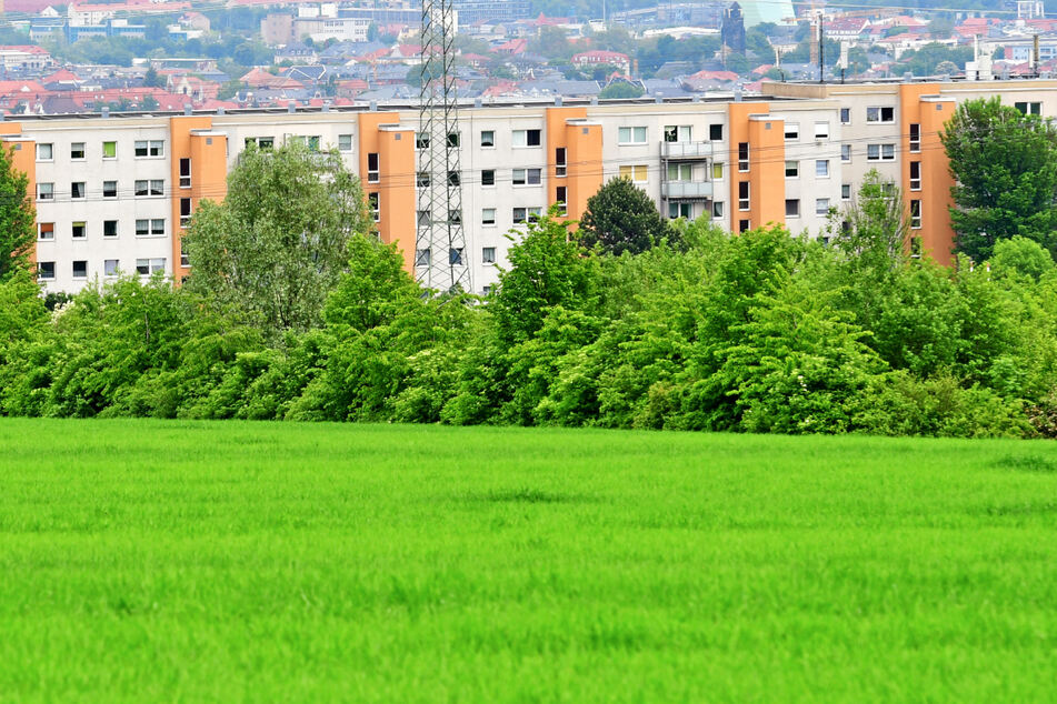 Im Jahr 2006 verkaufte Dresden sämtliche 47.000 Woba-Wohnungen und war auf einen Schlag schuldenfrei.