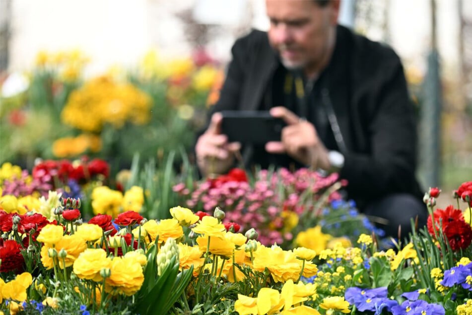 Blütenpracht im Südwesten: Landesgartenschau hat mehr als nur Pflanzen zu bieten