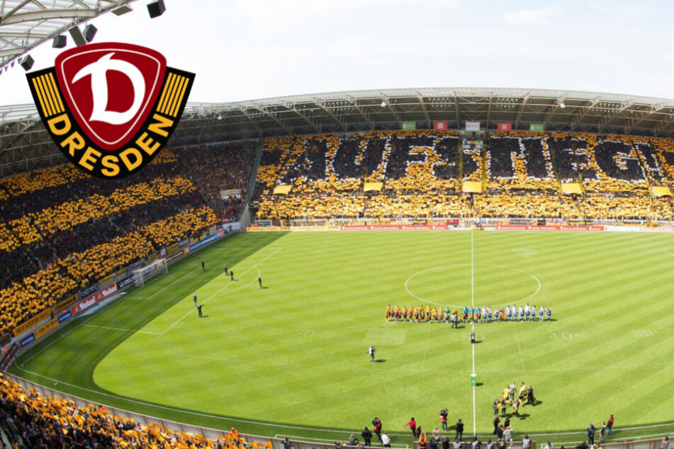 Dynamo wieder mitten im Aufstiegsrennen: Nächstes Ausrufezeichen gegen Köln?