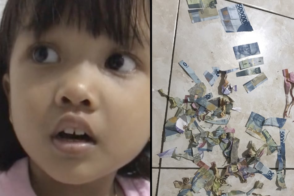 Mutter entsetzt: Mädchen zerschnippelt Geld, was noch den kompletten Monat reichen sollte