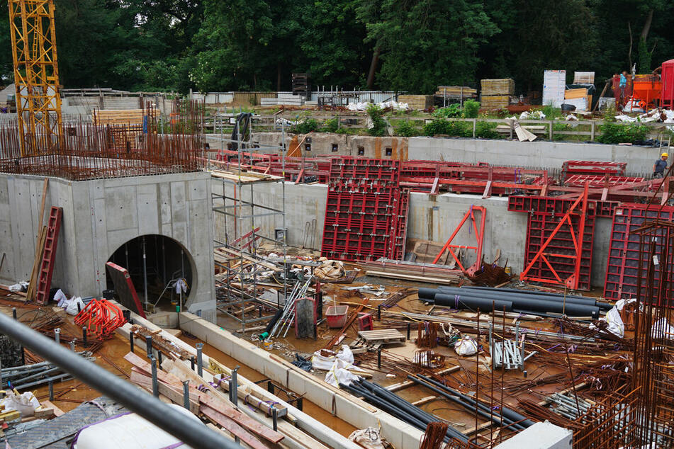 Im "Feuerland" entsteht zurzeit ein 140 Meter langer Unterwassertunnel, der Zoobesuchern künftig einen 360-Grad-Blick auf die Seelöwen ermöglicht.