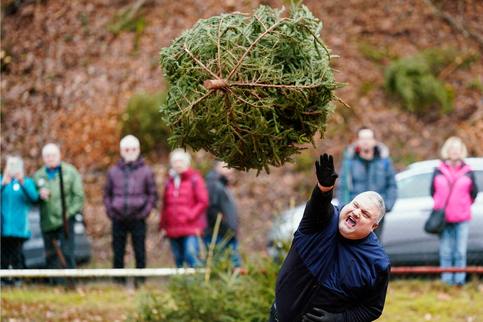 Am Sonntag werden im pfälzischen Weidenthal wieder kräftig Weihnachtsbäume geworfen.