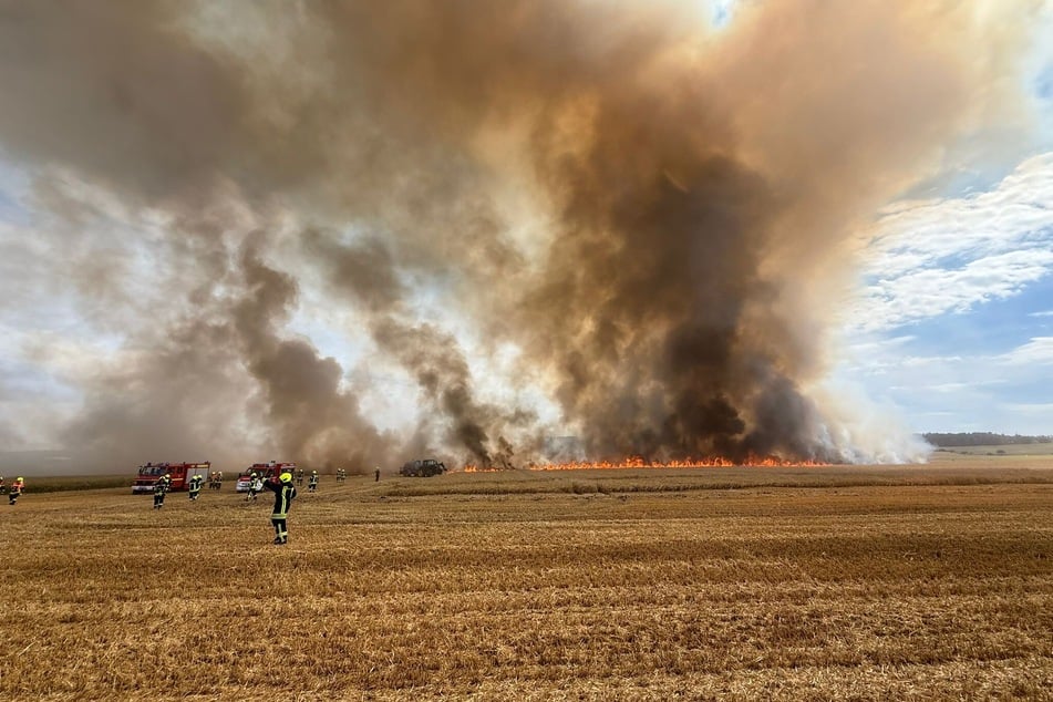 Feldbrand führt zu Großeinsatz der Feuerwehr
