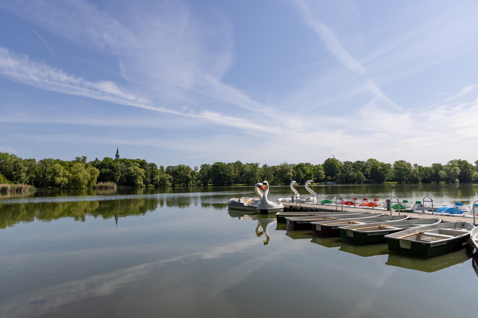 Der Schwanenteich in Zwickau: Mit einem Schwanentretboot machte ein 40-Jähriger eine illegale Fahrt über den Teich.