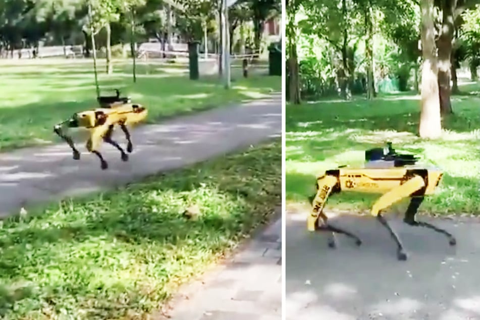 In dieser Stadt kontrolliert jetzt ein Roboter-Hund die Abstandsregeln!