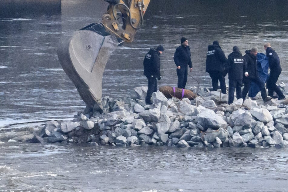 Die entschärfte Bombe wurde sicher abtransportiert.