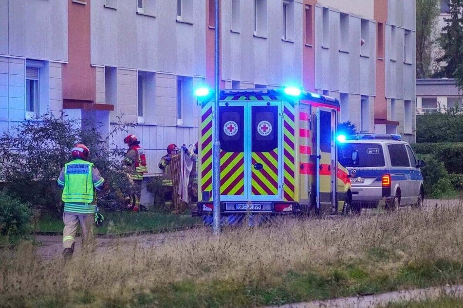 Der grausame Gewaltakt ereignete sich im September vergangenen Jahres.