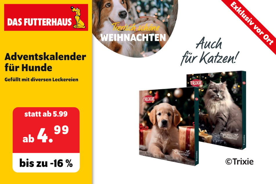 Adventskalender für Hunde