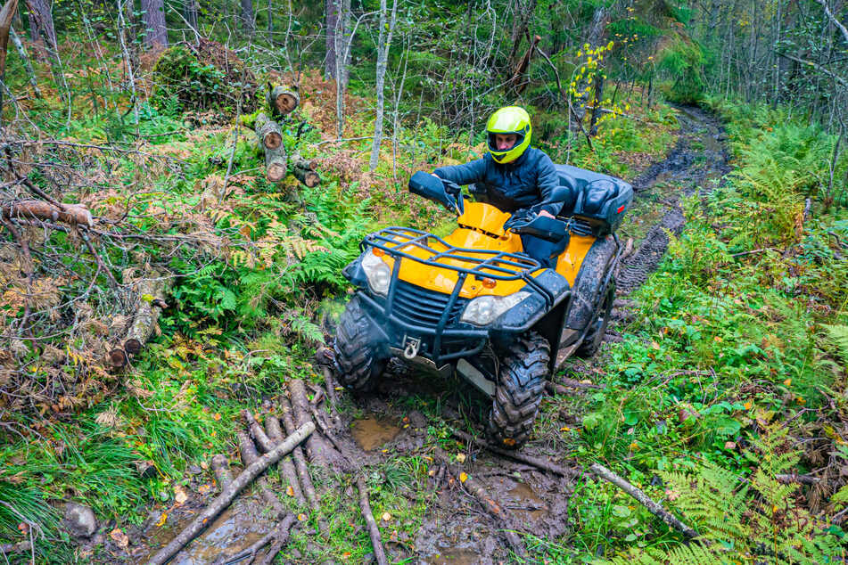 Quadfahrer, die teilweise aus Tschechien über die grüne Grenze fahren, sind eine Gefahr für das Naturschutzgebiet.