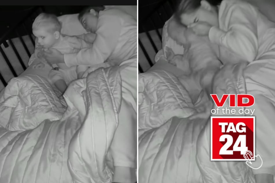 viral videos: Viral Video of the Day for January 25, 2026: Toddler accidentally breaks mom's nose in shocking babycam moment