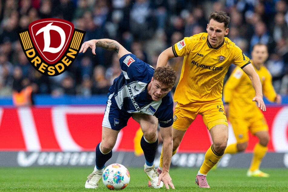 Dynamo liegt in (fast) allen Statistiken vorn, nur die Punkte fehlen: Woran liegt das?