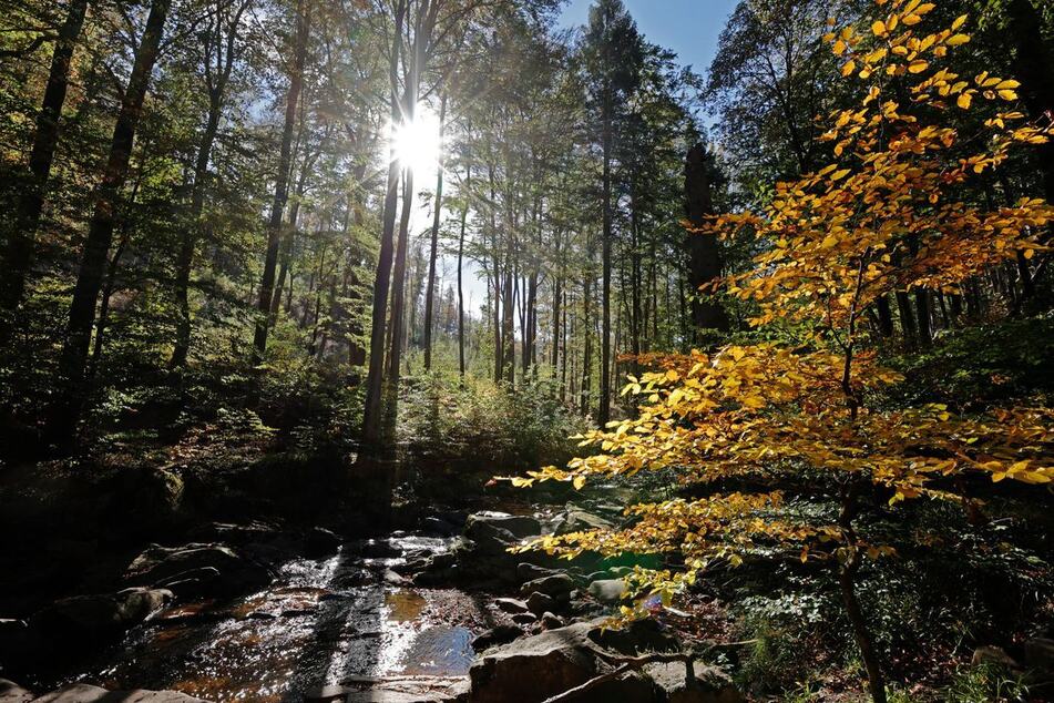 Am Mittwoch klettern die Temperaturen in NRW noch einmal auf 20 bis 23 Grad. (Symbolbild)