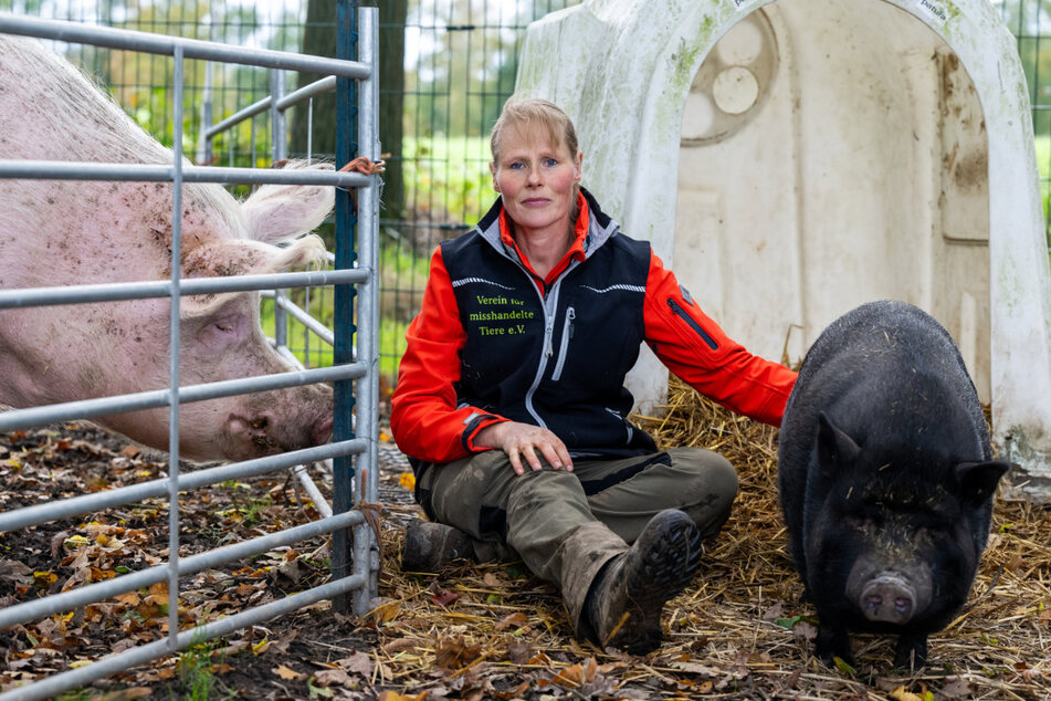 Sabine Bracker, Vorsitzende vom Verein für misshandelte Tiere e.V., warnt vor der Haltung von Minischweinen als Haustiere.