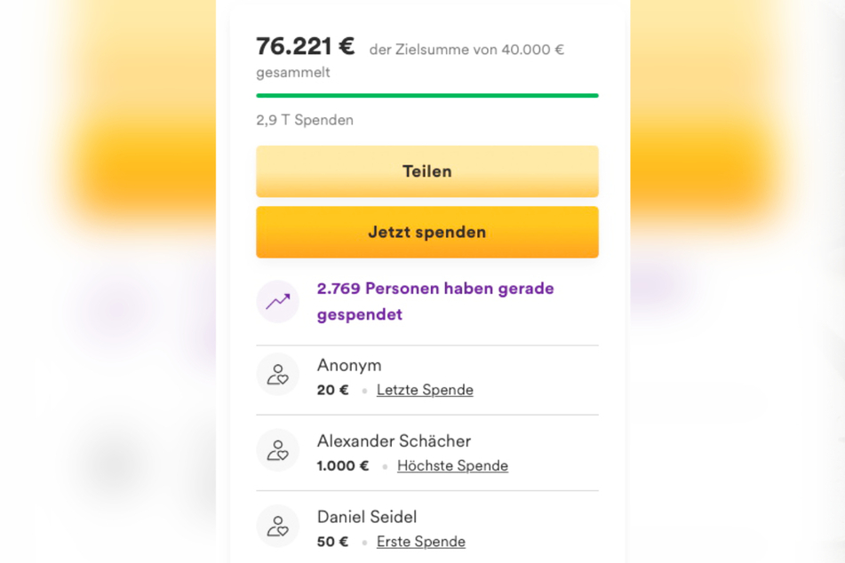 Auf der Plattform "gofundme" sind bislang mehr als 76.500 Euro gespendet worden.