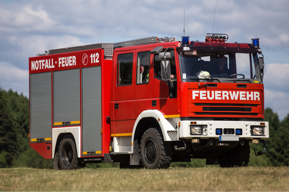 Feuer in Waldstück bei Köln ausgebrochen: Wurde der Brand absichtlich gelegt?