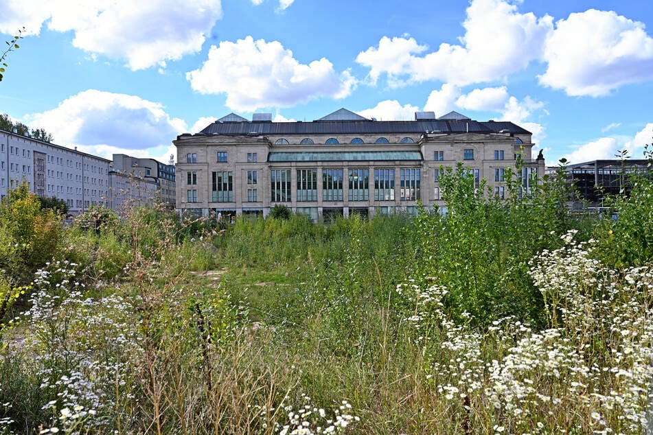 Das "Loch der Schande" am Tietz ist eine der auffälligsten Brachen im Zentrum. Auch diese Fläche wäre wohl ein Fall für die Grundsteuer C gewesen.