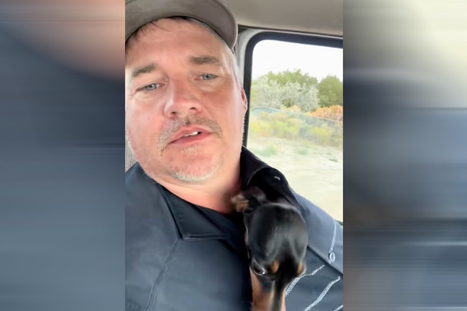 La perrita dachshund Bonnie hace lo que le da la gana en el video de su dueño.