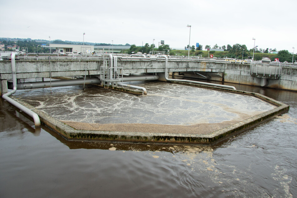 Die Stadtentwässerung investiert Millionen Euro in einen neuen Kanal, der die Abwässer der Chip-Giganten direkt zur Kläranlage leiten soll.