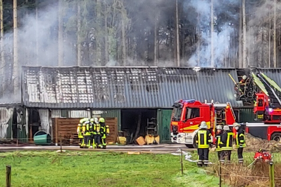 Großeinsatz auf Bauernhof! 800-Quadratmeter-Halle in Flammen, Bevölkerung gewarnt