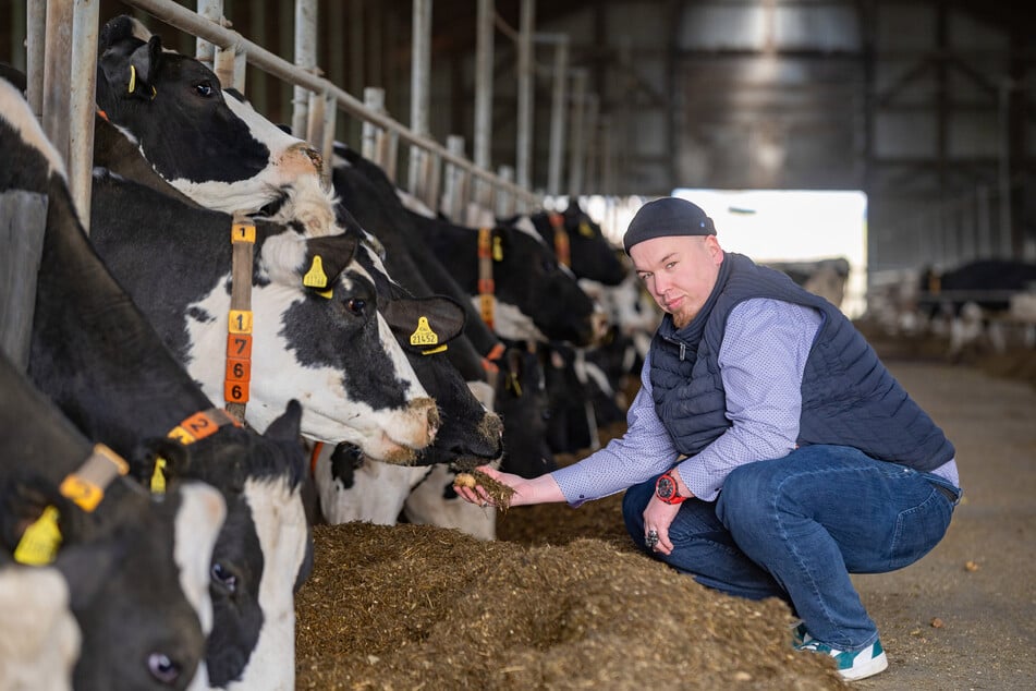 Patrick Rückert (33) im Stall bei seinen Milchkühen. Sein Bio-Betrieb versorgt insgesamt 2300 Rinder.