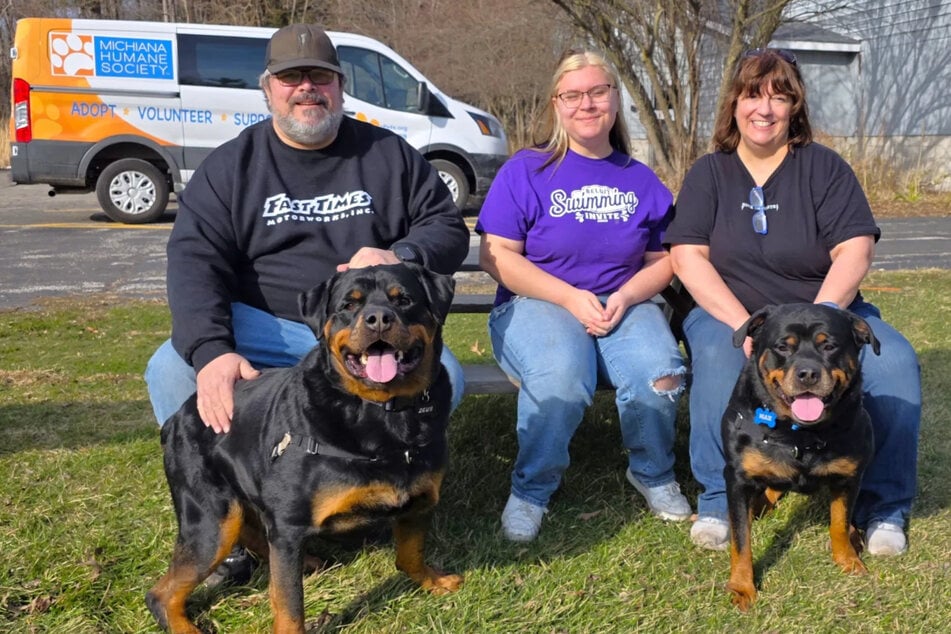 Nach langer Suche konnte für die beiden Hunde eine neue Familie gefunden werden.