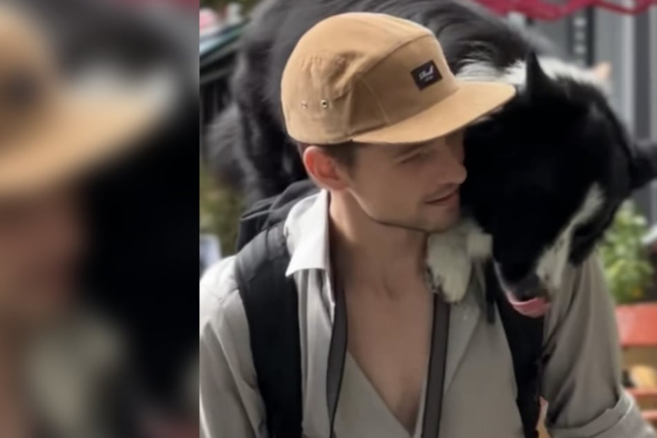 Dominik Arend (31) aus Berlin ist mit Border Collie Ninja (6) ein Star auf Social Media.