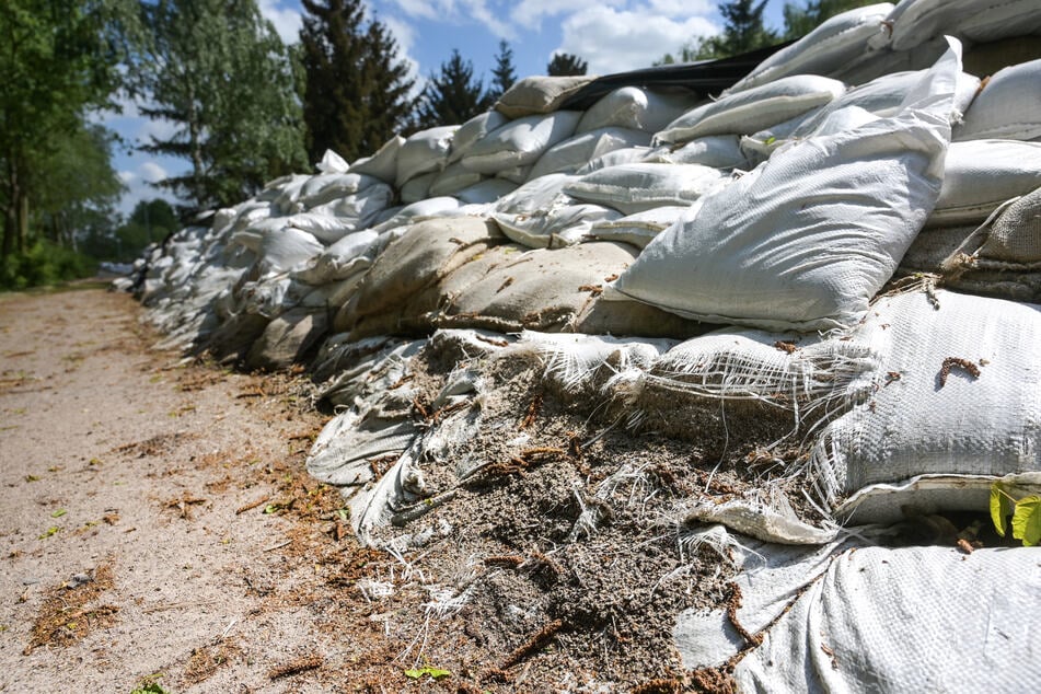 Im Landkreis Mansfeld-Südharz halfen Asylbewerber beim Schutz vor Hochwasser. Doch nicht alle akzeptieren die Arbeit und wurden sanktioniert. (Archivbild)