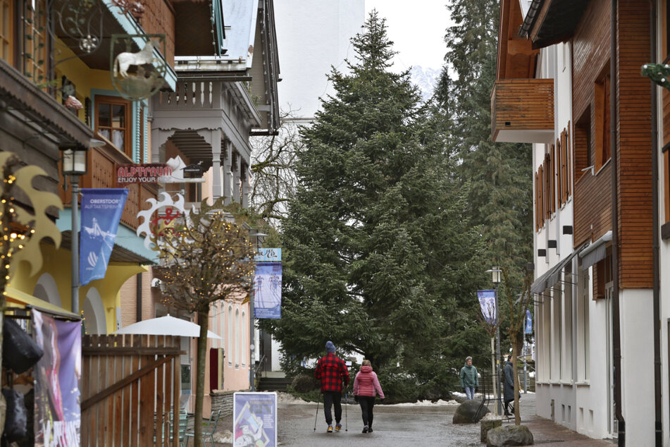 Der Christbaum im Ortszentrum von Oberstdorf: Die nahezu 25.000 Euro teure Tanne wurde knapp 600 Kilometer weit vom Sauerland ins Allgäu transportiert. (Archiv)