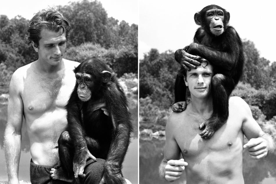 Ron Ely poses with Cheetah the chimpanzee during the filming of the 1960s TV show Tarzan.