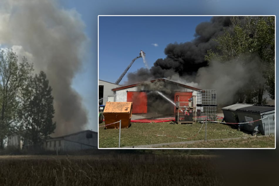 Riesige Rauchwolke am Himmel: Verheerender Hallen-Brand in Sachsen, 800.000 Euro Schaden