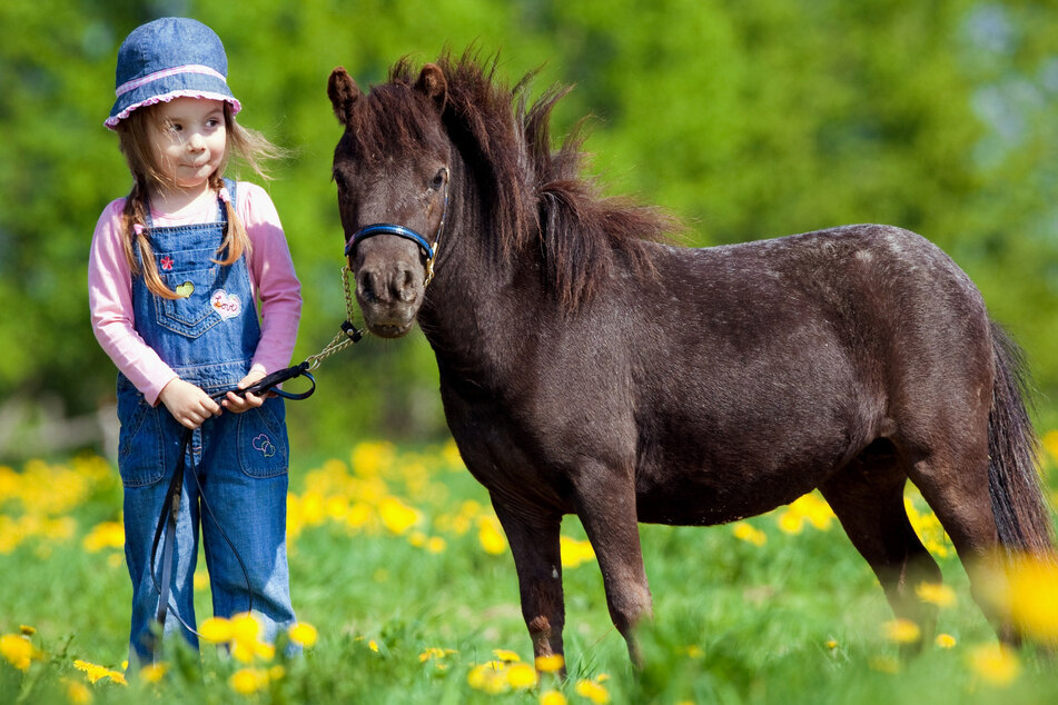 Kinder können bei dem Fest auch Ponys reiten (Symbolbild).