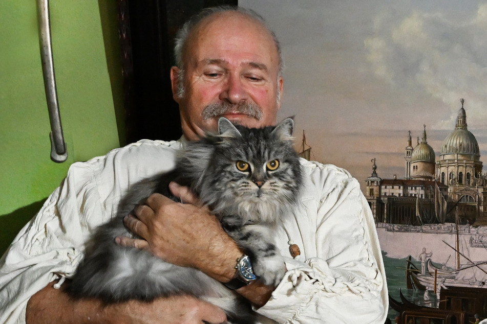 Der Maler und seine Muse: Maine-Coon-Katze "Lady" ist seit zwölf Jahren an Schwenkes Seite.