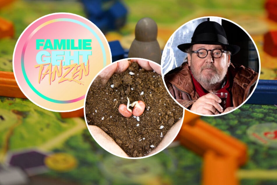 Sieben Ideen für einen aufregenden Sonntag in Chemnitz und Umgebung