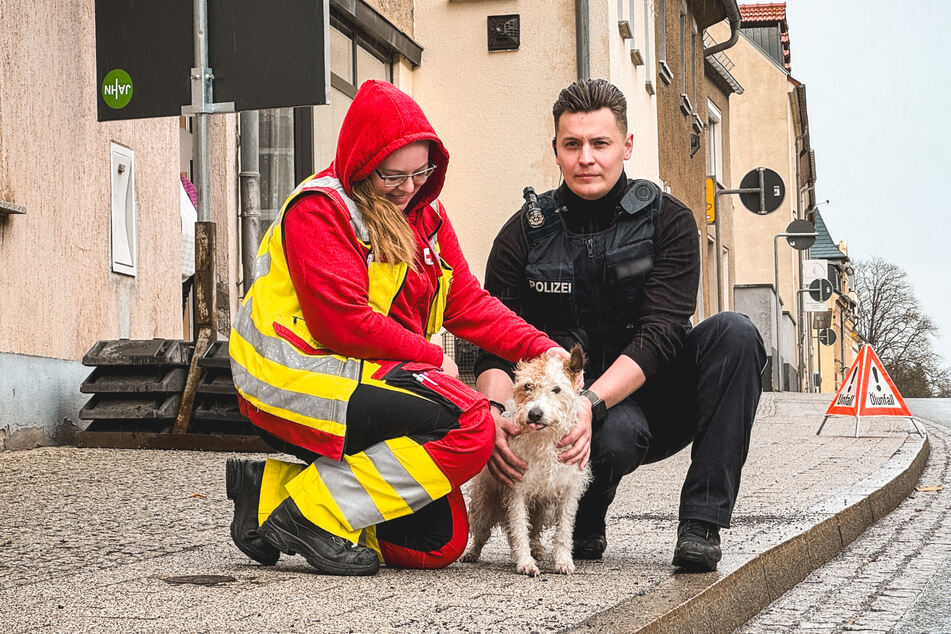 Durch das beherzte Eingreifen einer Rettungssanitäterin und eines Polizisten konnte ein ausgebüxter Hund eingefangen und gerettet werden.