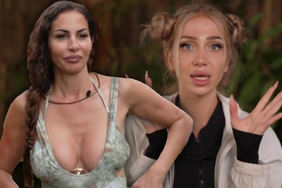 "Beleidige mich als Schlam**, Fot**, Hu**": Sollte diese Dschungel-Diva erneut aus der Show geworfen werden?