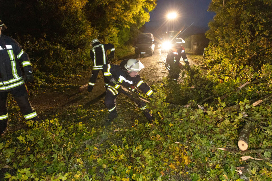 Zwischen Streufdorf und Rossfeld knickte ein Baum wegen des Sturms auf die Straße. Die Fahrbahn war anschließend blockiert und musste von der Feuerwehr freigeräumt werden.