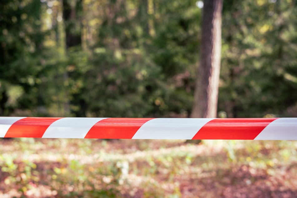 Im Salzlandkreis war ein Subaru gegen einen Baum gekracht. Der Fahrer verstarb. (Symbolbild)