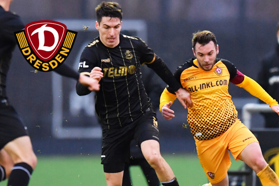 Dynamo Dresden Wir Sind Wieder Da