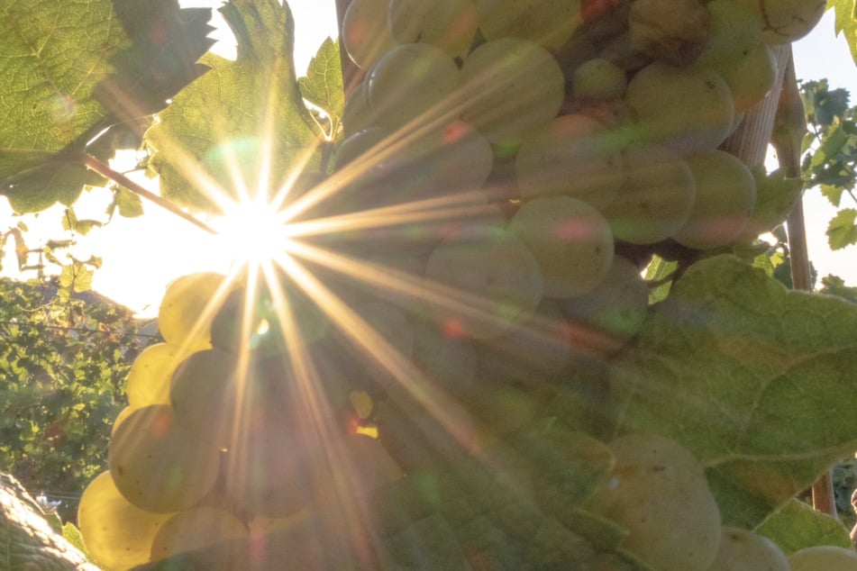 Ende September werden wir mit sommerlichen Temperaturen verwöhnt.