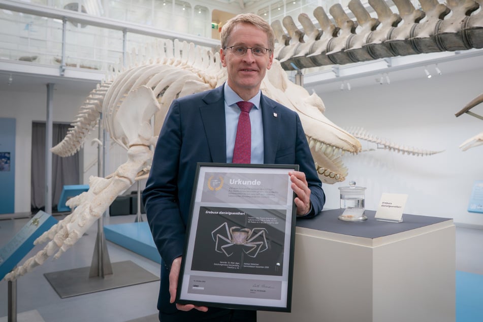 Eine neu entdeckte Höhlenkrabbe ist nach Schleswig-Holsteins Ministerpräsident Daniel Günther (52, CDU) benannt worden.