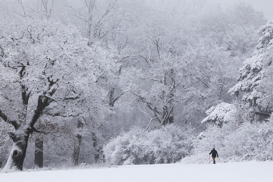 Hamburg liegt aktuell unter einer dicken Schneedecke. (Symbolbild)