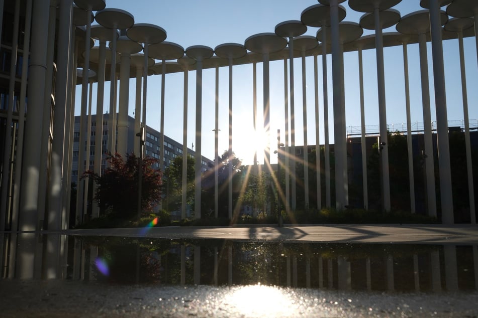 Endlich kommt die Frühlingssonne raus. (Archivbild)