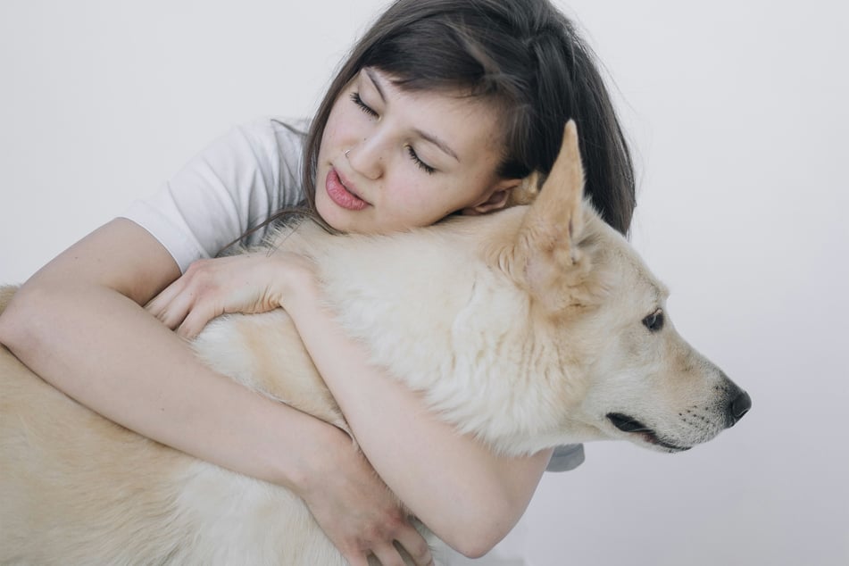 Which dog breeds are the cuddliest in the world?