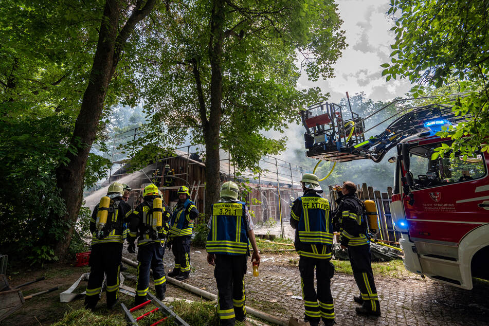 Bei dem Feuer im Zebra-Gehege beim Afrika-Haus des Tiergartens waren weder Menschen noch Tiere verletzt worden.