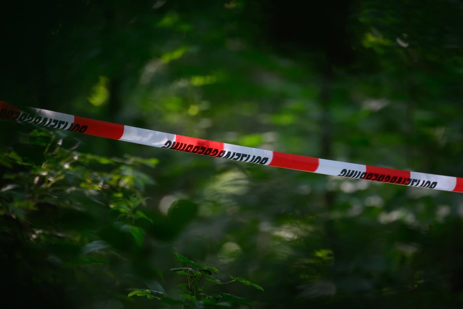 Die Polizei suchte das Waldstück bei Aachen seit Tagen ab, ehe sie den toten Mann am Montag fand. (Symbolfoto)