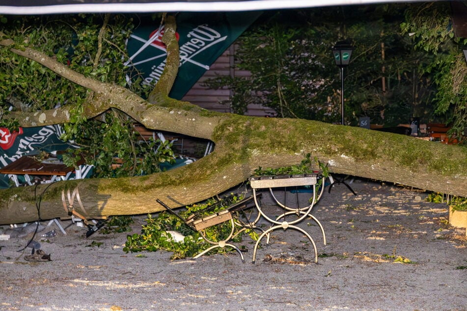 Schwerer Ast kracht in Biergarten: Zwölf Gäste bei Unglück teils schwer verletzt