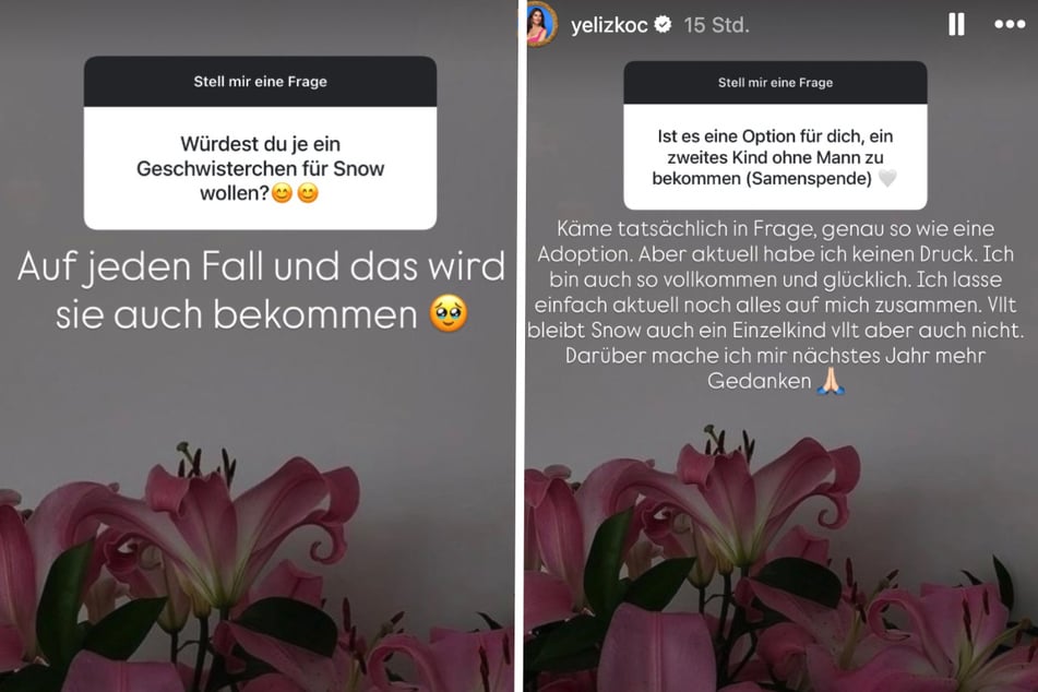 Ihre Antworten dazu waren eindeutig.