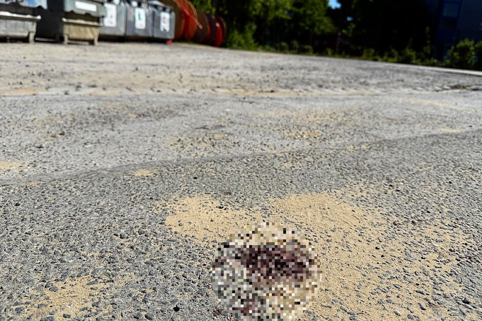 In Menden hat ein 17-Jähriger ein Tötungsdelikt begangen.